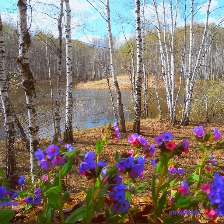 Встречаем апрель
